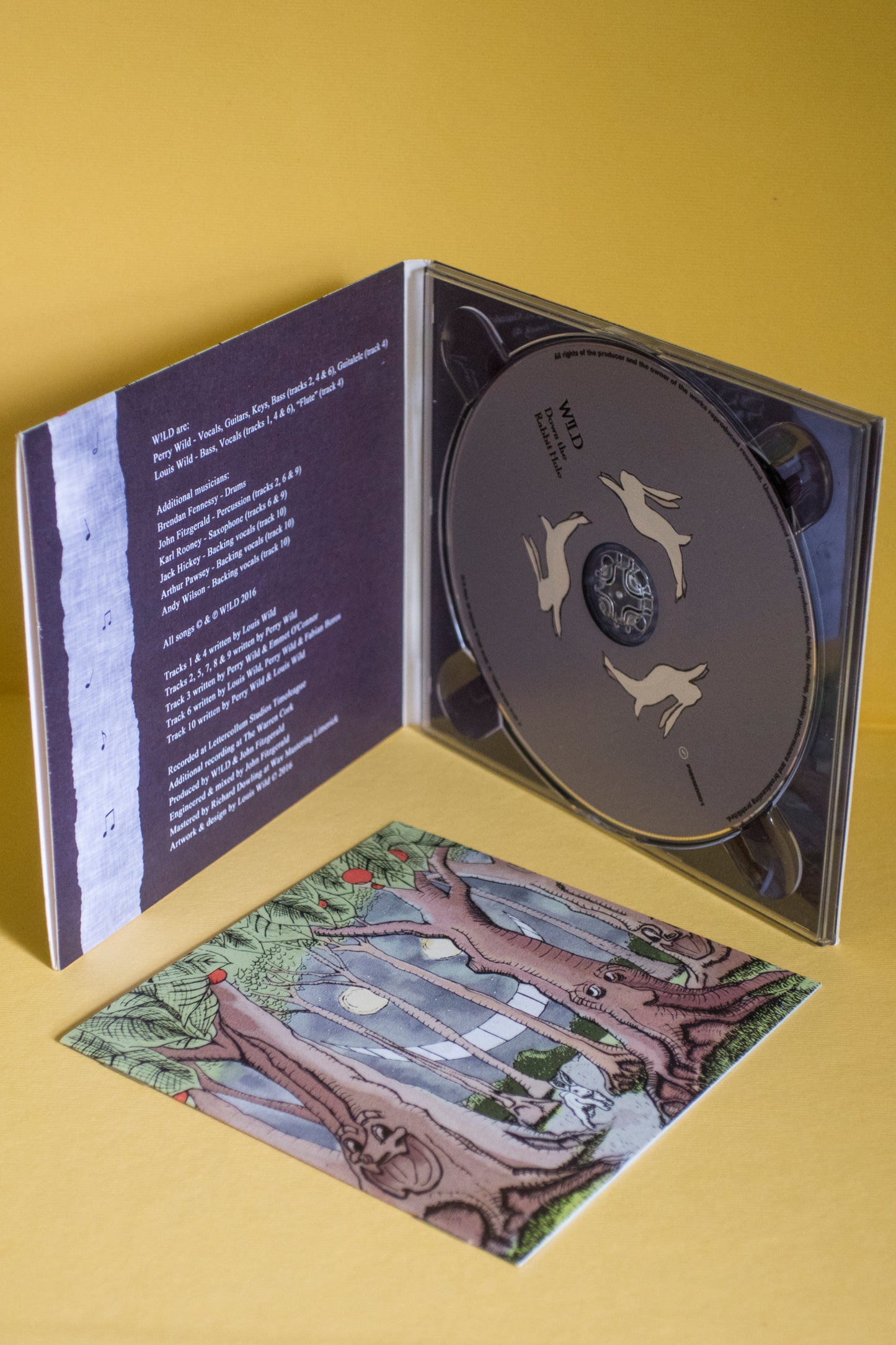 2. Down the Rabbit Hole Album CD